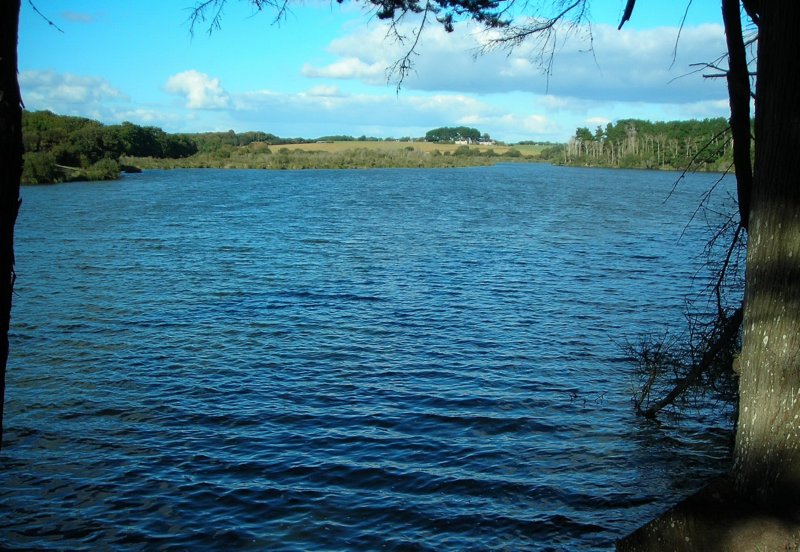 etangdelannec.jpg